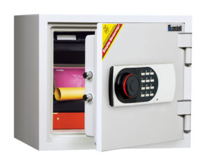 Guardall Safes GDF 119EN