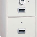 Platinum Safes Fire Guard FG2