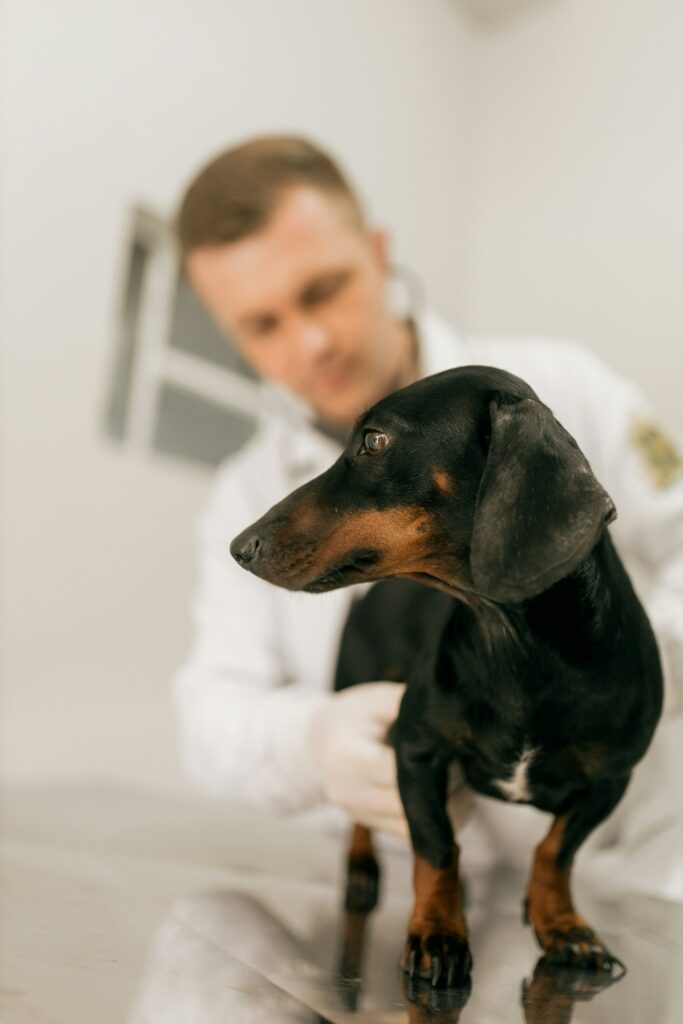 Drug Safes for Veterinary Clinics
